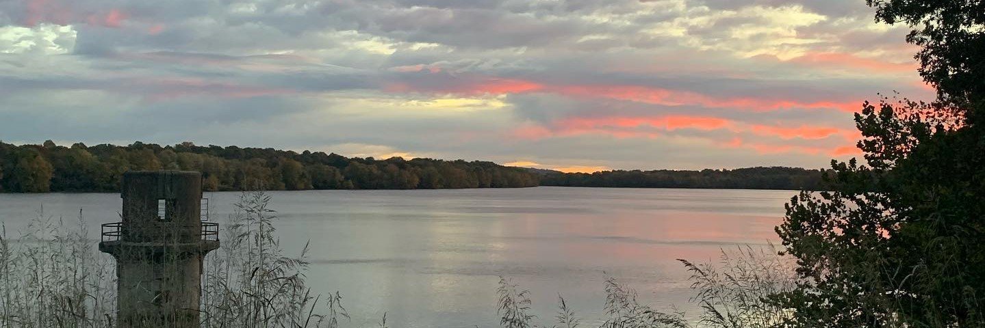 Meredith Lowry banner