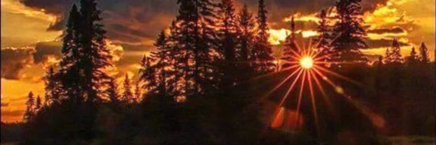 MemoCarr78's profile banner image