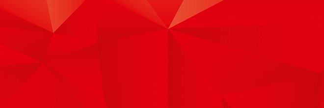 Martina Fiddrich banner