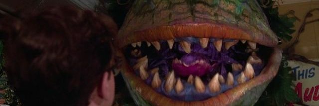 malariafaria's profile banner image
