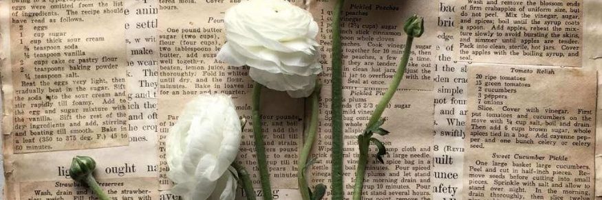 LucieCollard1's profile banner image