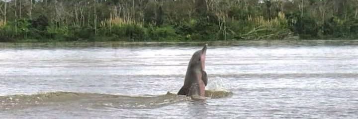 Frissli Katriela Rios banner