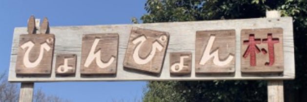 ハゲぴょん banner