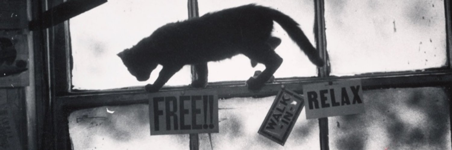 Cats of Yore Profile Banner