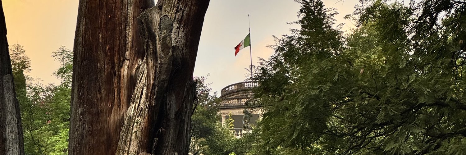 AlejandroTam's profile banner image