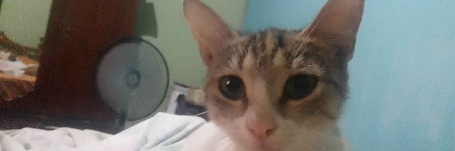 HTGledys's profile banner image