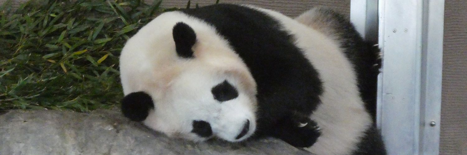 DreamMoon37's profile banner image