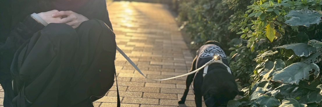 ぺねこ banner