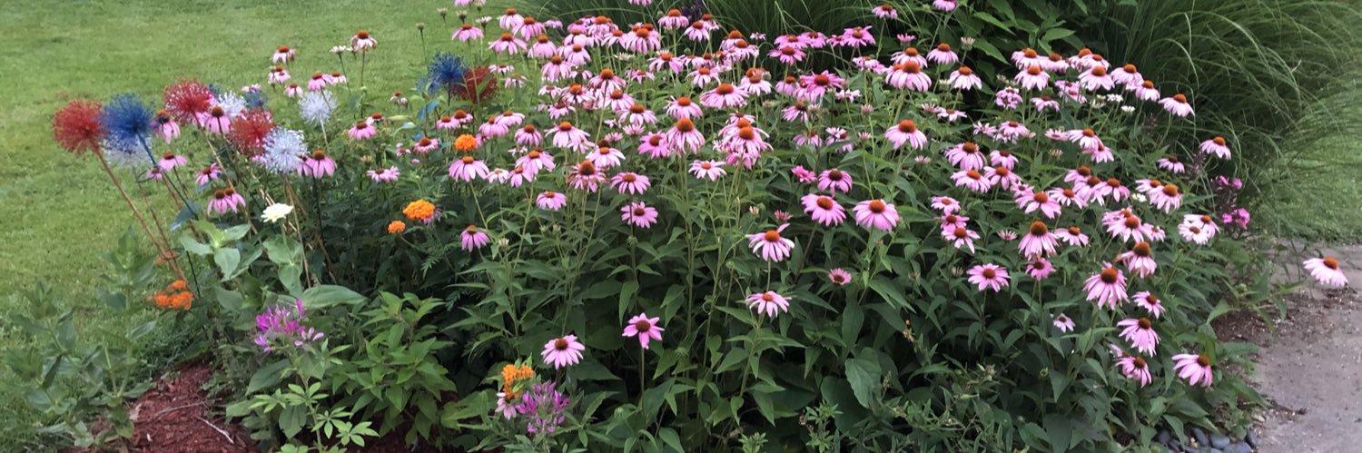 LeAnn Coberly banner