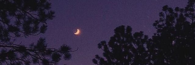 Alessandra_Mena's profile banner image