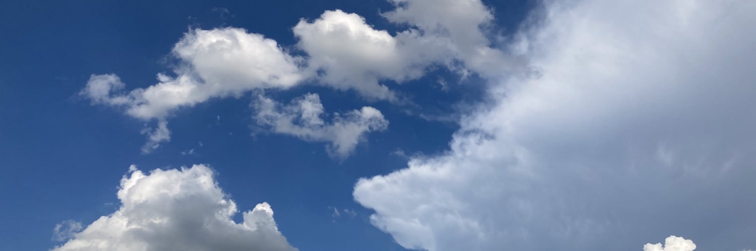 meesameee's profile banner image