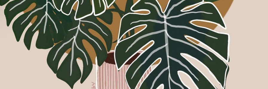 courtneywright's profile banner image