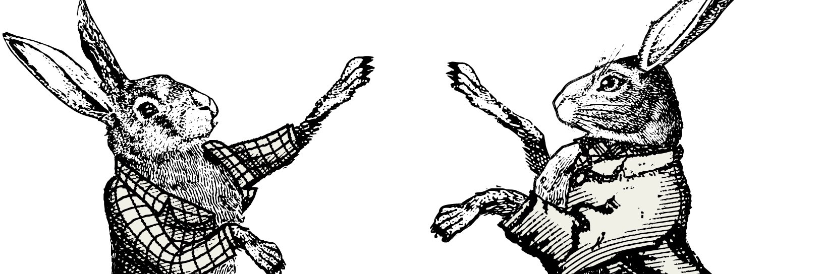 AllyKeelan's profile banner image