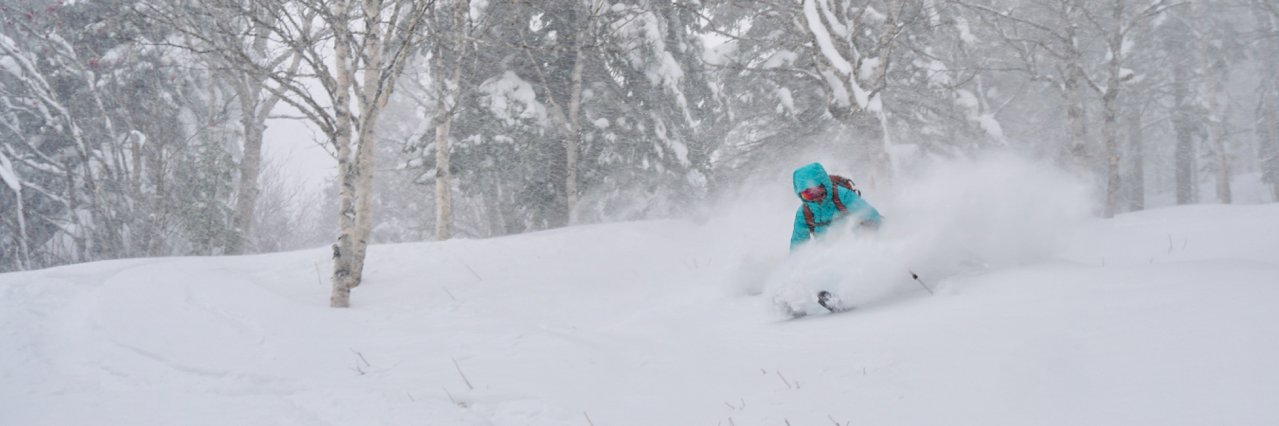 Zoneski's profile banner image