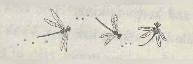 𝐿𝓊𝒾𝓈𝒶 /📖 banner