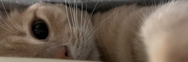 eyaaVAL Profile Banner