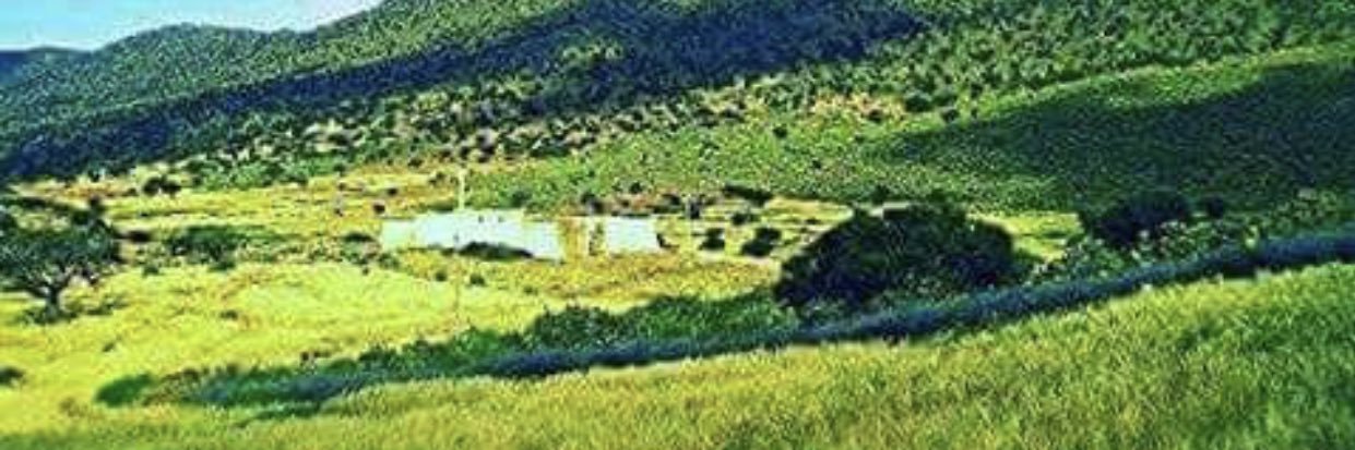 Yassin ⭐️⭐️ banner