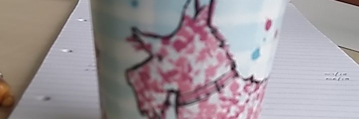 satchmorg's profile banner image