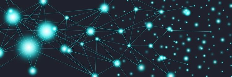 cryptojucky banner