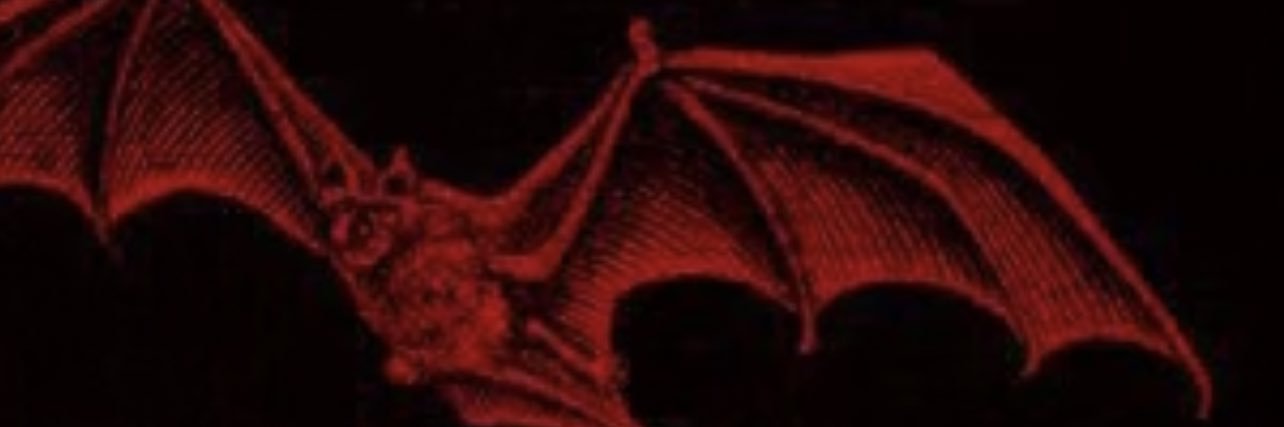 thslz_'s profile banner image
