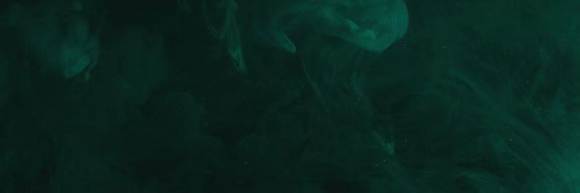 RinZΞN (Ø,G) banner