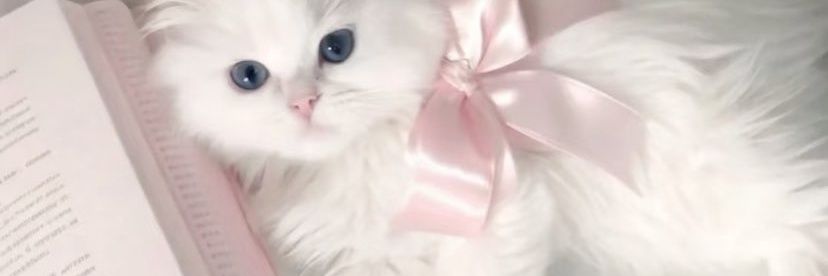 Baby 𝐴𝑦𝑎𝑛𝑎 & 𝐴𝑎𝑟𝑜𝑛 daily! 🌸❄️ banner