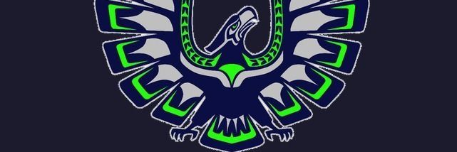 PMinority's profile banner image