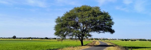 manishsarmaa Profile Banner