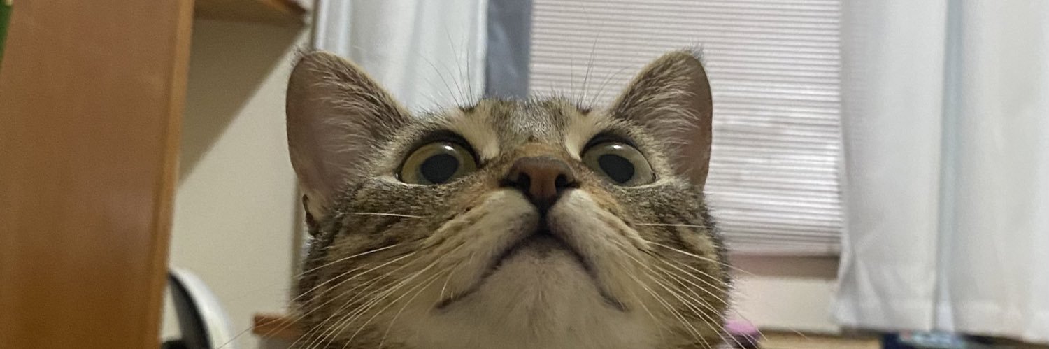 AnnaBBG_'s profile banner image