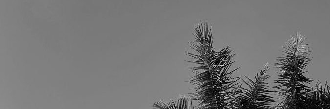 DIKSIMALAM's profile banner image