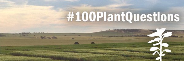 PlantQuestions Profile Banner