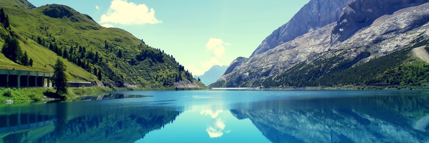 Future Focused Solutions banner