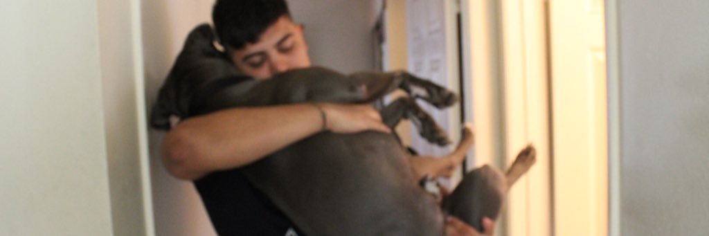 eddster_'s profile banner image