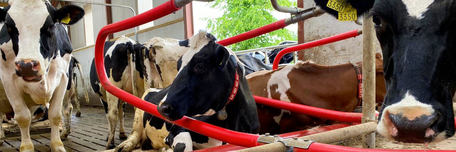 Condon Engineering banner