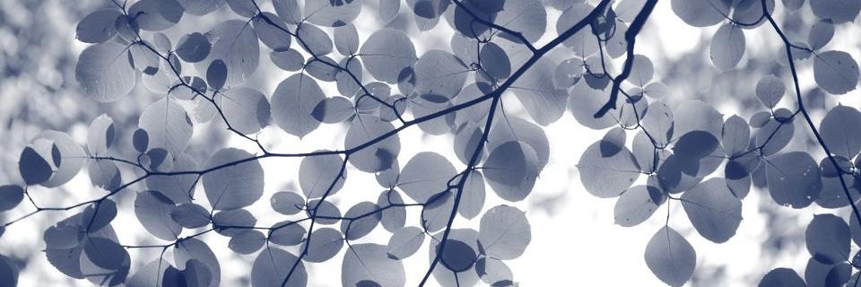 KMnote's profile banner image