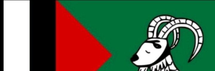 HasnainBalawar8's profile banner image