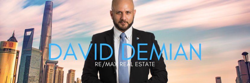 David Demian banner