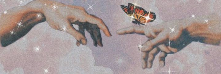 Stephani LIMIT banner
