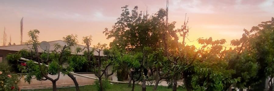 animaria95's profile banner image