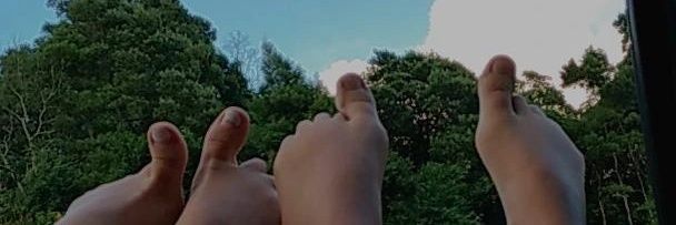 InsLacerda1's profile banner image