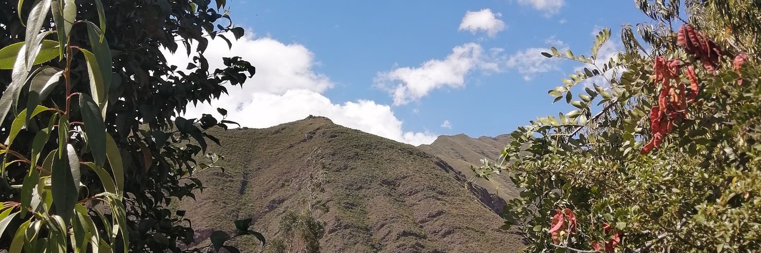 AnItQuInTeRo's profile banner image