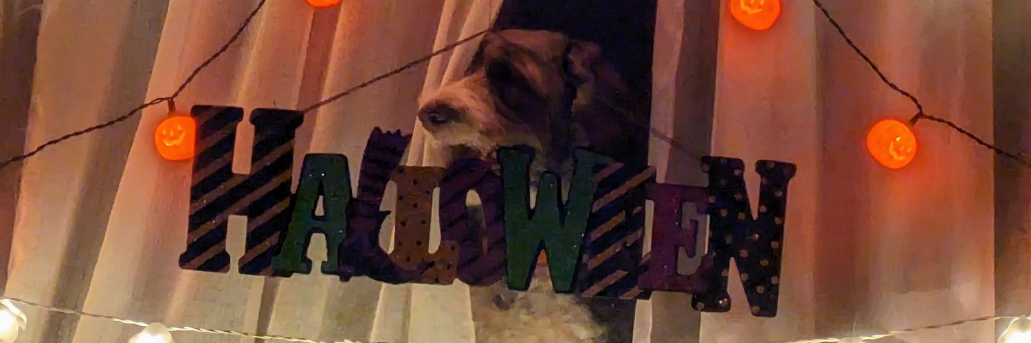 Bronson Chewbacca Brown banner
