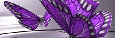 bebopfox44's profile banner image