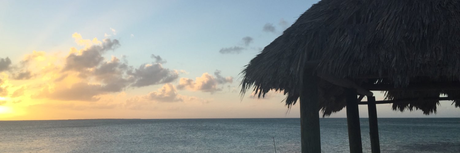 abbynurnberger's profile banner image