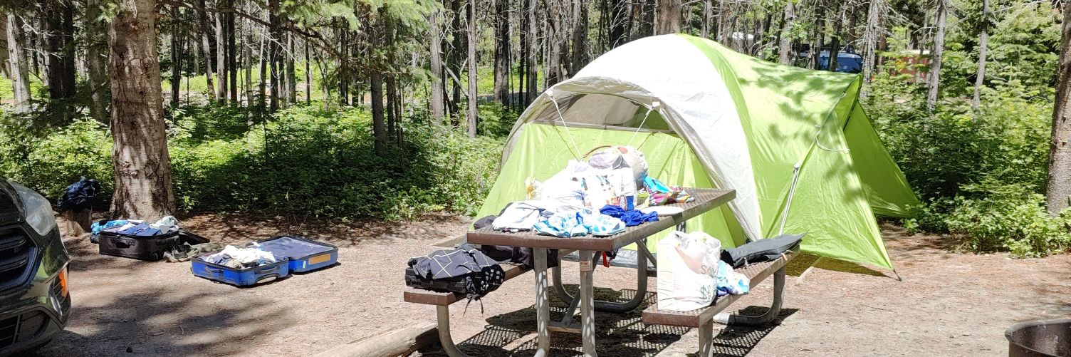 Dr. Pocrastinate TODAY! banner