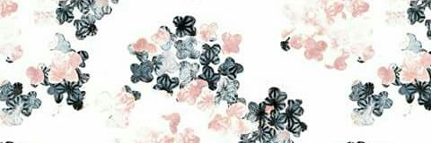 FlorHernandezCh's profile banner image