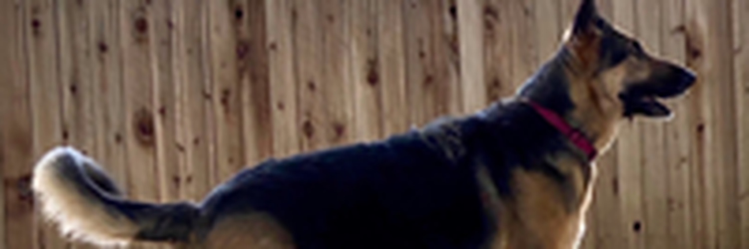 trueguytho70's profile banner image