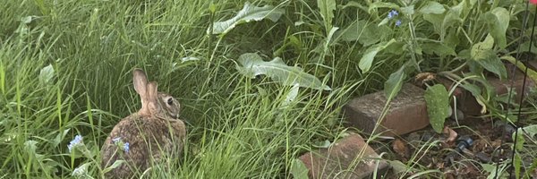 BandSmall Profile Banner