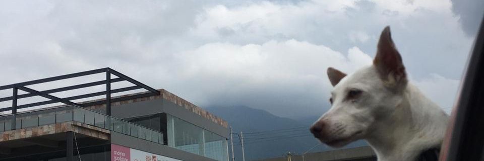 cxmc_'s profile banner image