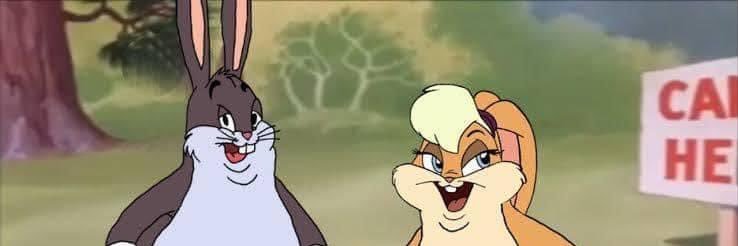 Carlin 2.0 (Gregory Dusch) banner